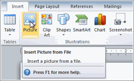     قرار دادن عکس از روی File